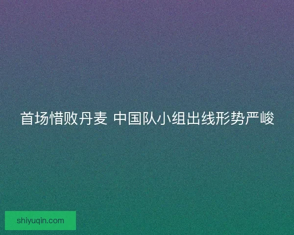 首场惜败丹麦 中国队小组出线形势严峻